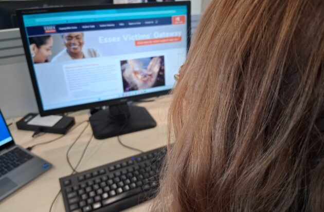 Lauren looking at new website