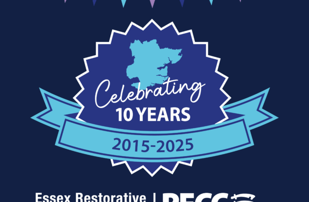 ERMS 10 year anniversary