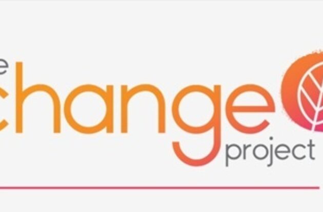 change project logo smaller